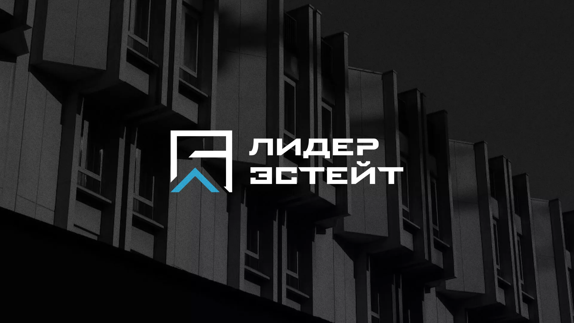Разработка логотипа агентства недвижимости «Лидер Эстейт» в Кандалакше