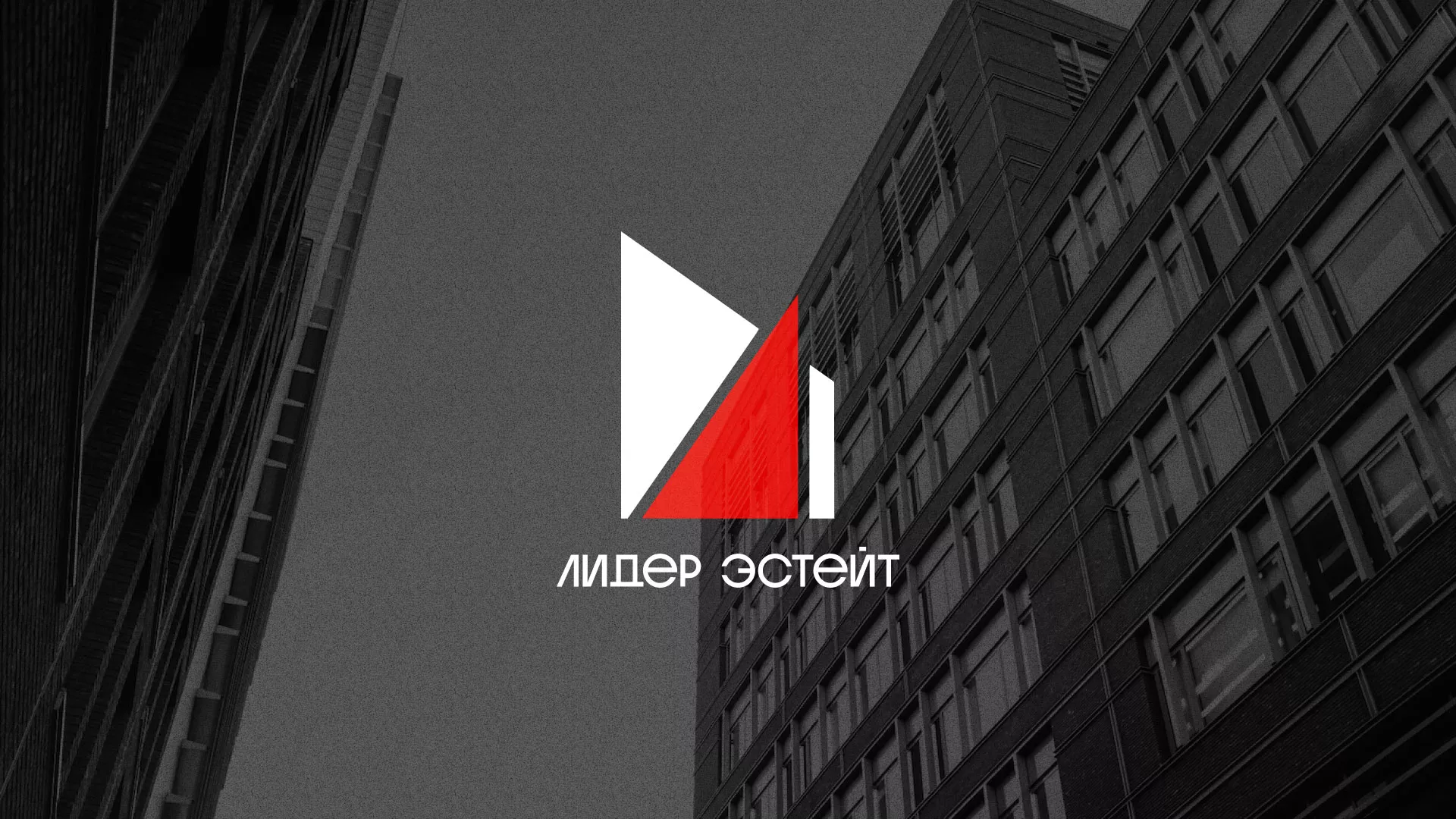 Сделали логотип для агентства недвижимости «Лидер Эстейт» в Кандалакше